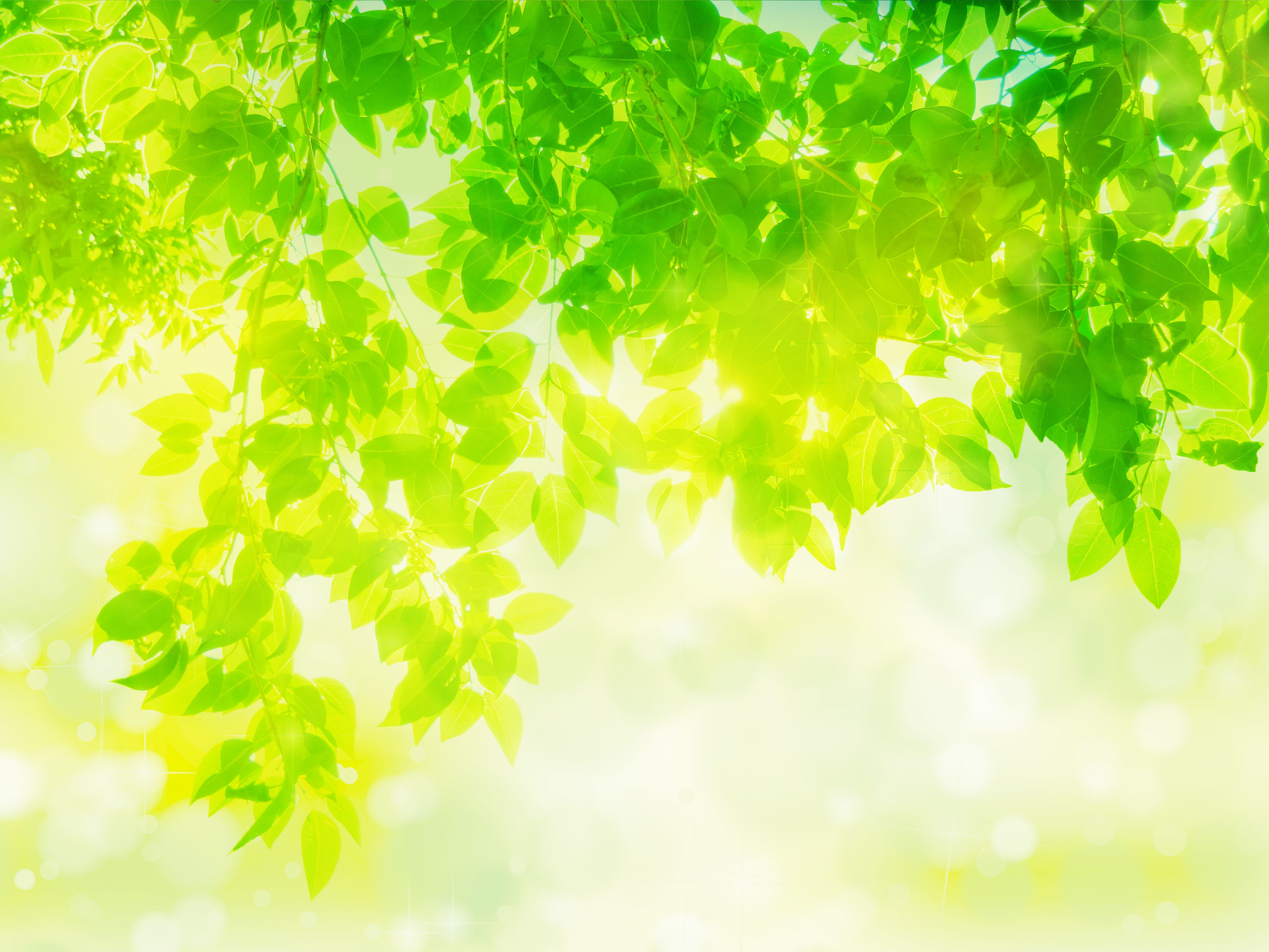 2025年の年末メッセージ