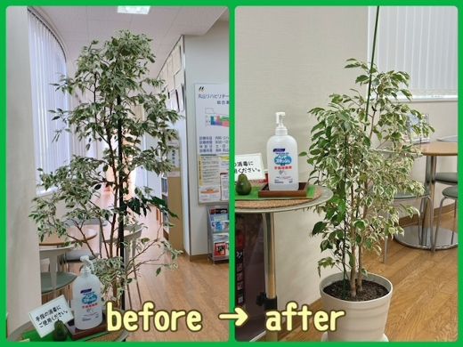 土に触れてストレス解消!?