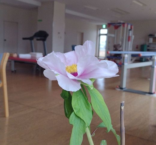 新年あけましておめでとうございます