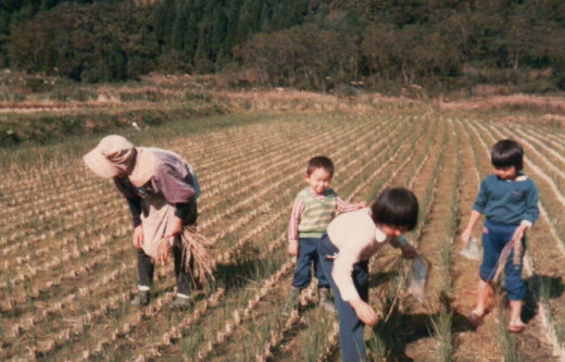 落ち穂拾い